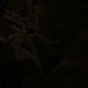 Meet your Posher, Rose